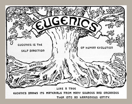Sobering, Haunting Eugenics Classes at BYH
