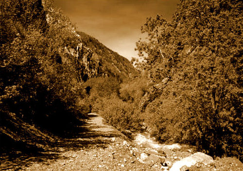 Rock Canyon above Provo, Utah