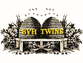 Twins logo - Brigham Young High School