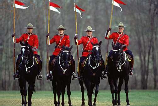 The Royal Canadian Mounted Police