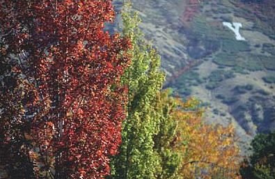 Y Mountain in autumn